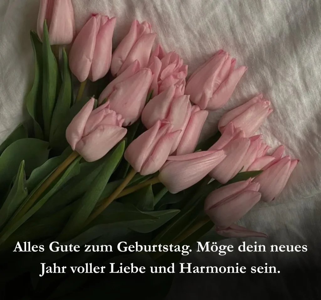 Alles Gute zum Geburtstag. Möge dein neues Jahr voller Liebe und Harmonie sein.

