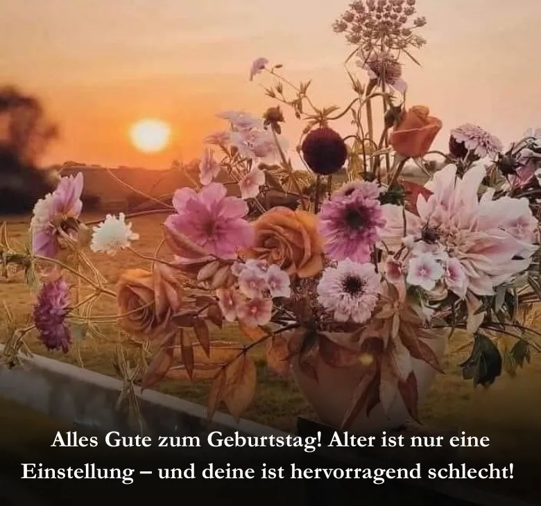 Alles Gute zum Geburtstag! Alter ist nur eine Einstellung – und deine ist hervorragend schlecht! 