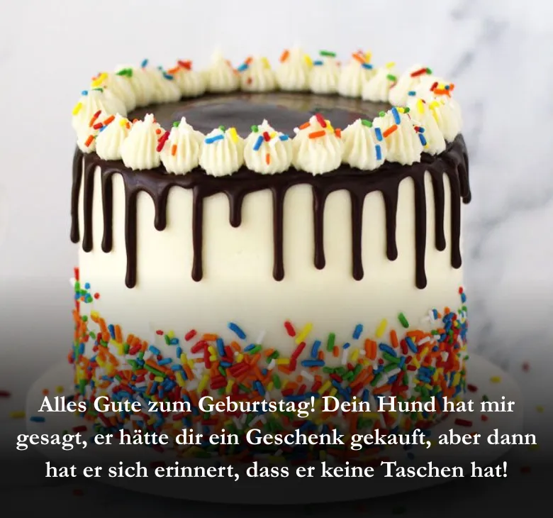 Alles Gute zum Geburtstag! Dein Hund hat mir gesagt, er hätte dir ein Geschenk gekauft, aber dann hat er sich erinnert, dass er keine Taschen hat!