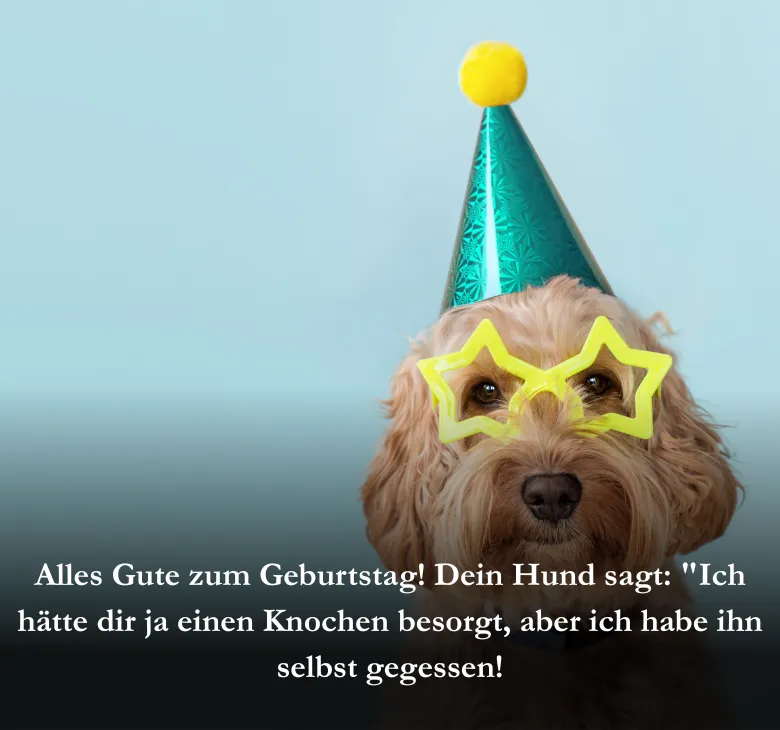 Alles Gute zum Geburtstag! Dein Hund sagt: "Ich hätte dir ja einen Knochen besorgt, aber ich habe ihn selbst gegessen!