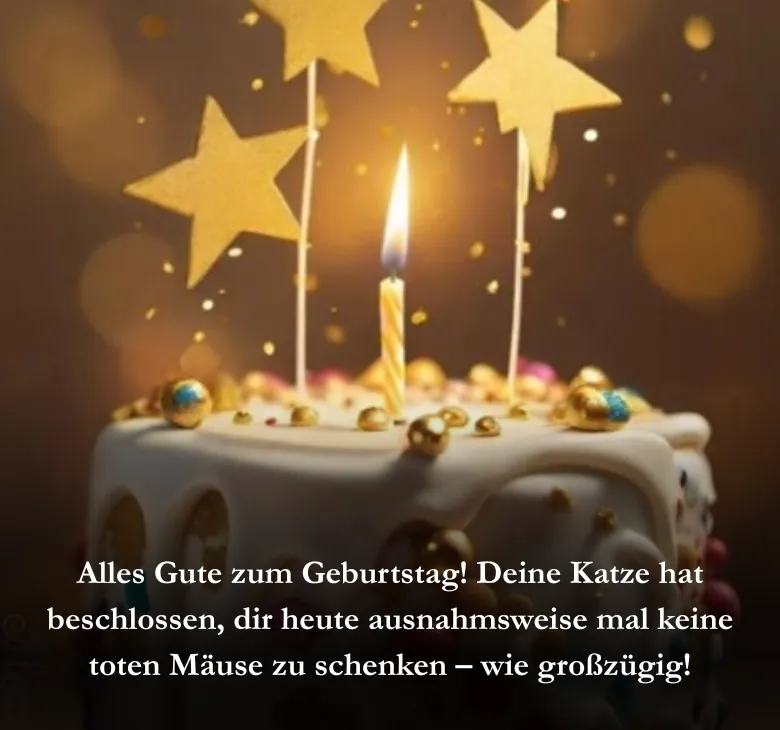Alles Gute zum Geburtstag! Deine Katze hat beschlossen, dir heute ausnahmsweise mal keine toten Mäuse zu schenken – wie großzügig!