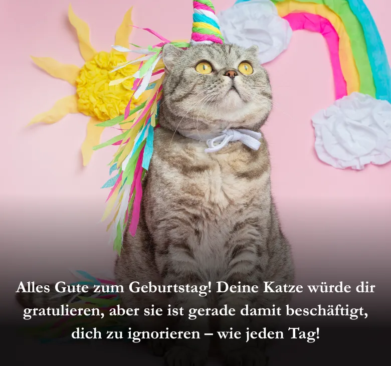 Alles Gute zum Geburtstag! Deine Katze würde dir gratulieren, aber sie ist gerade damit beschäftigt, dich zu ignorieren – wie jeden Tag!