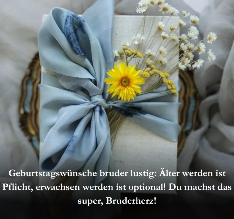 Geburtstagswünsche bruder lustig_ Älter werden ist Pflicht, erwachsen werden ist optional! Du machst das super, Bruderherz!