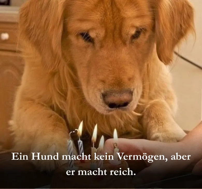 Ein Hund macht kein Vermögen, aber er macht reich.