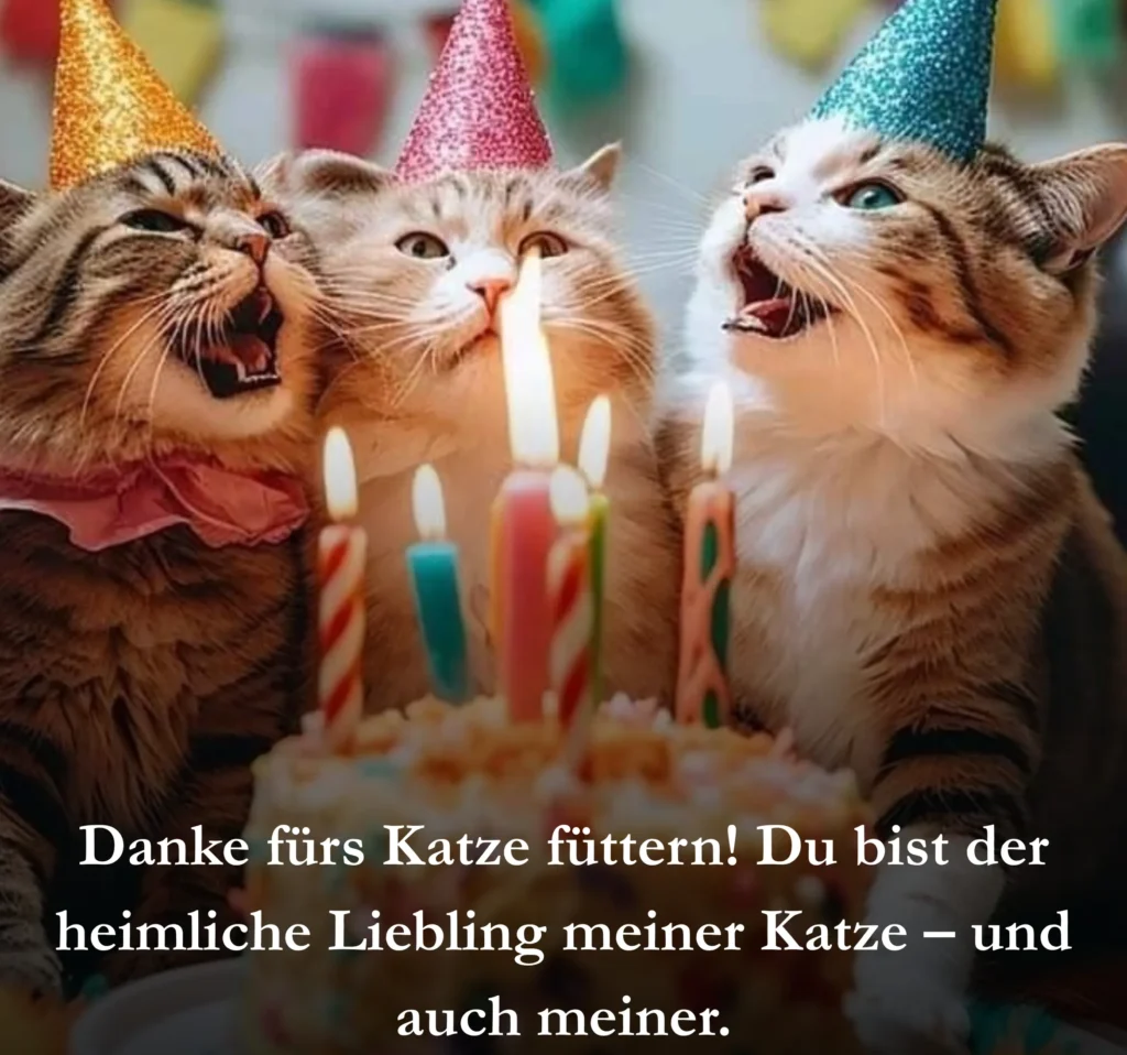 Danke fürs Katze füttern! Du bist der heimliche Liebling meiner Katze – und auch meiner.