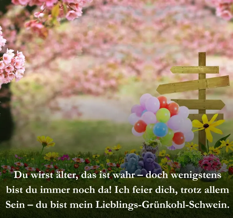 Du wirst älter, das ist wahr – doch wenigstens bist du immer noch da! Ich feier dich, trotz allem Sein – du bist mein Lieblings-Grünkohl-Schwein.