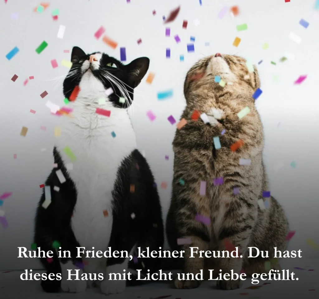 Ruhe in Frieden, kleiner Freund. Du hast dieses Haus mit Licht und Liebe gefüllt.