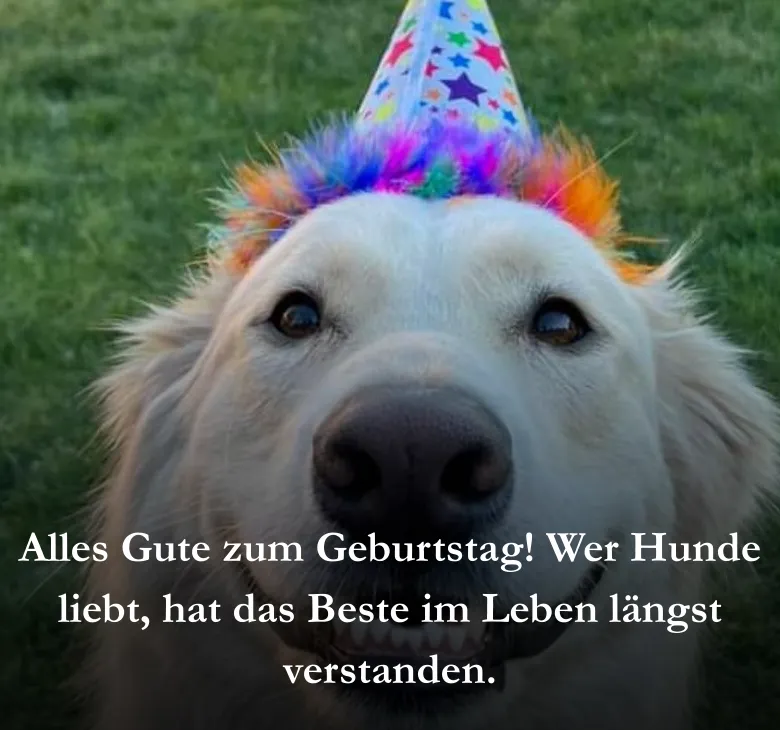 Alles Gute zum Geburtstag! Wer Hunde liebt, hat das Beste im Leben längst verstanden.