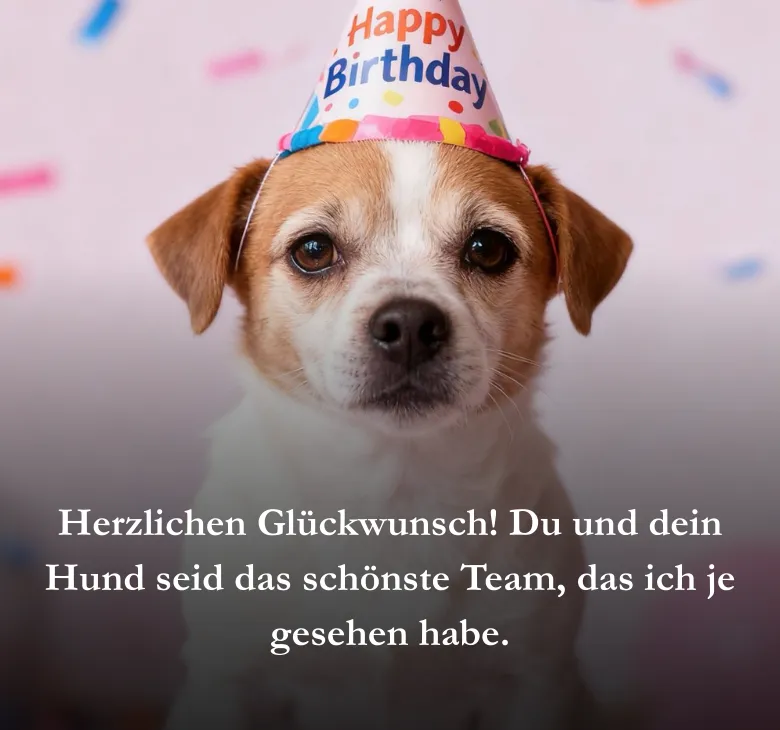 Herzlichen Glückwunsch! Du und dein Hund seid das schönste Team, das ich je gesehen habe.
