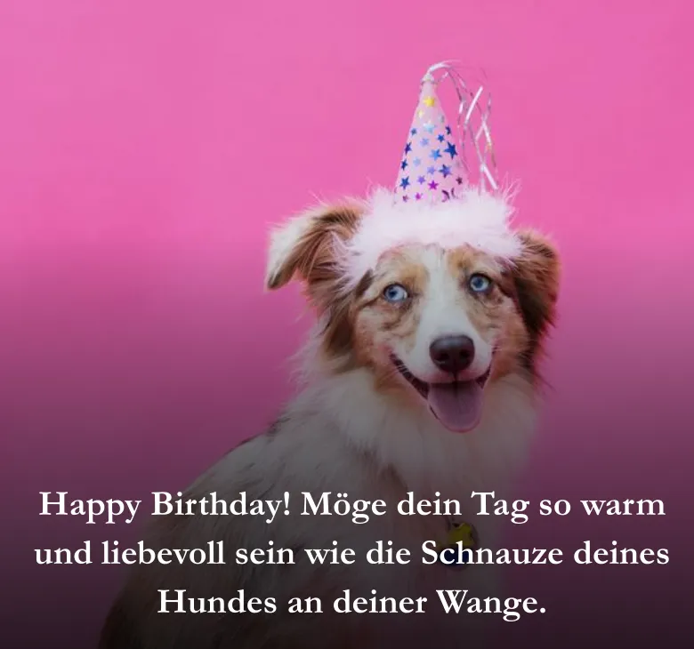 Happy Birthday! Möge dein Tag so warm und liebevoll sein wie die Schnauze deines Hundes an deiner Wange.