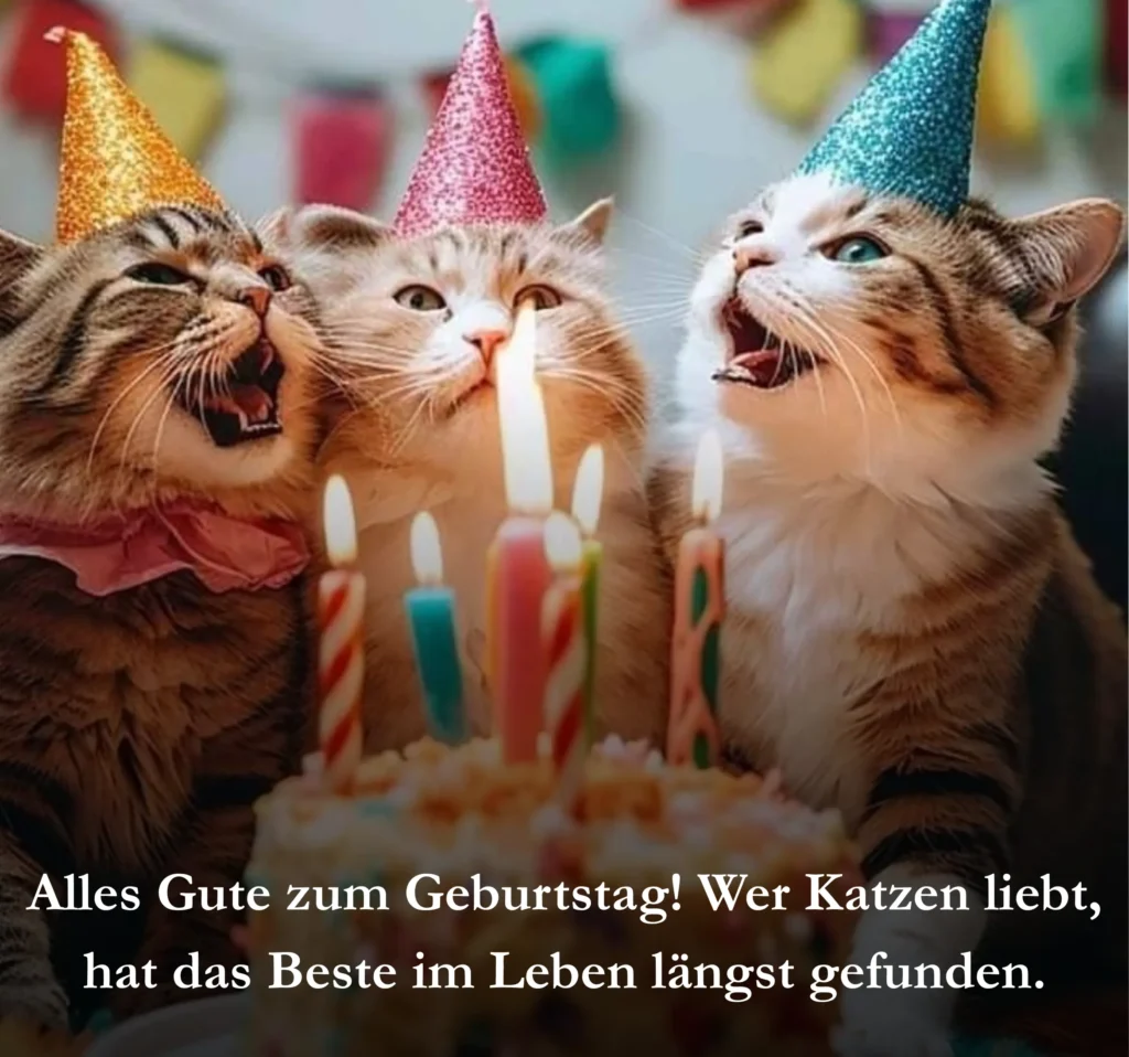 Alles Gute zum Geburtstag! Wer Katzen liebt, hat das Beste im Leben längst gefunden.