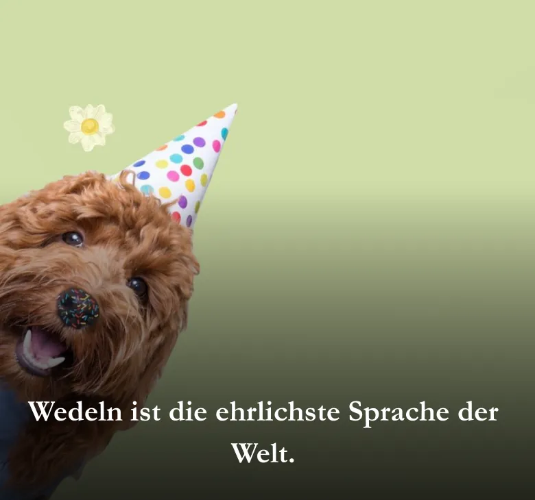 Wedeln ist die ehrlichste Sprache der Welt.