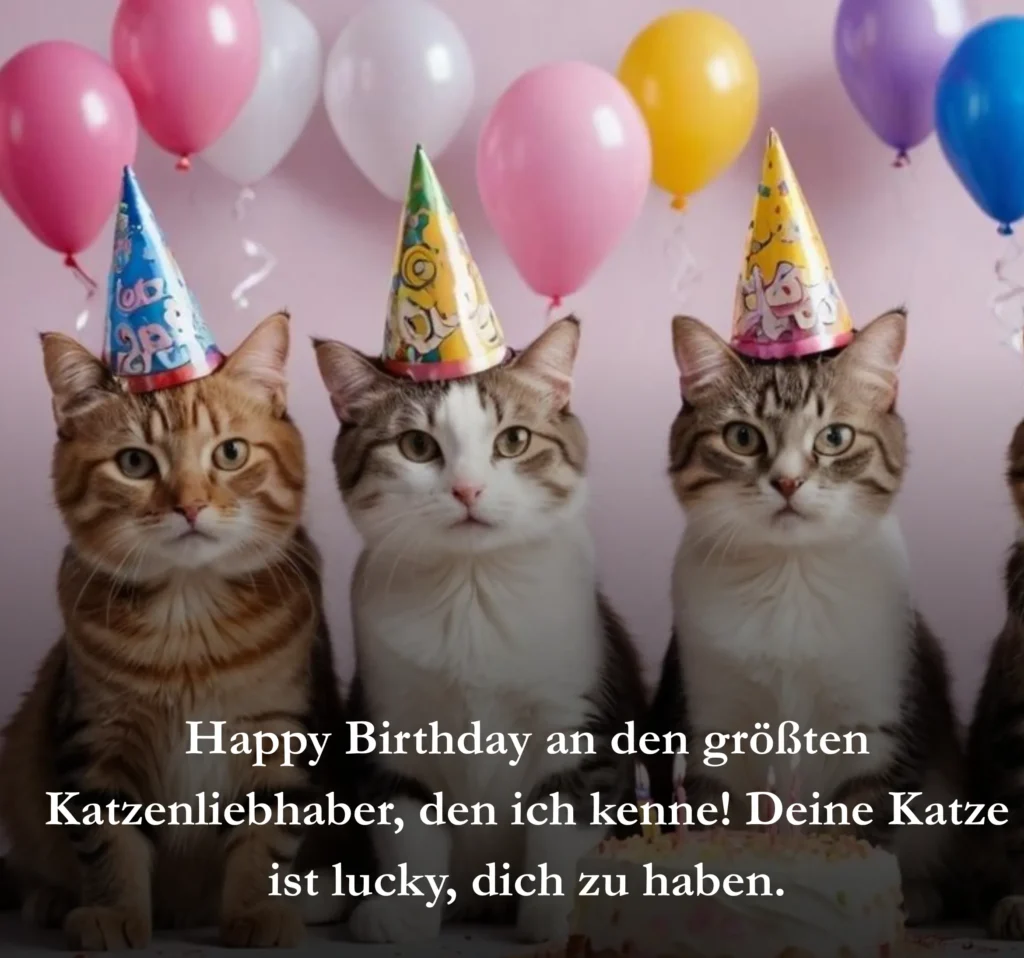 Happy Birthday an den größten Katzenliebhaber, den ich kenne! Deine Katze ist lucky, dich zu haben.